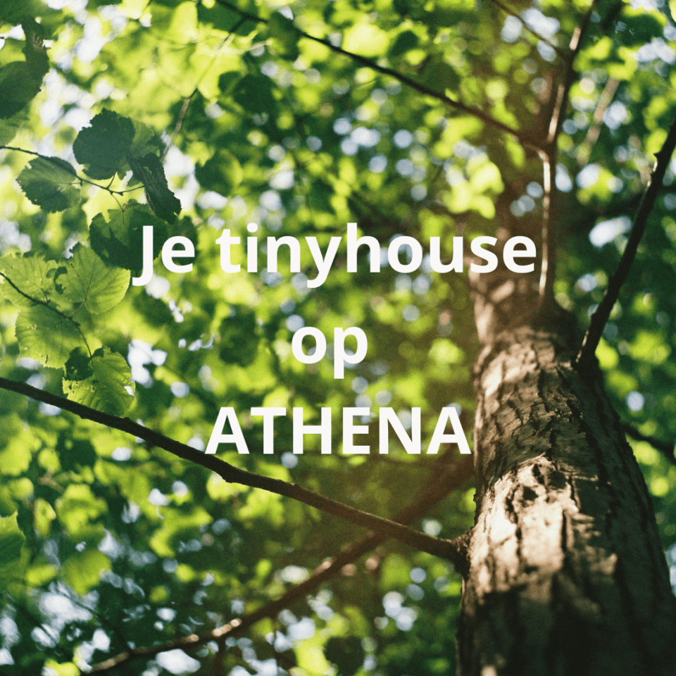 Athena